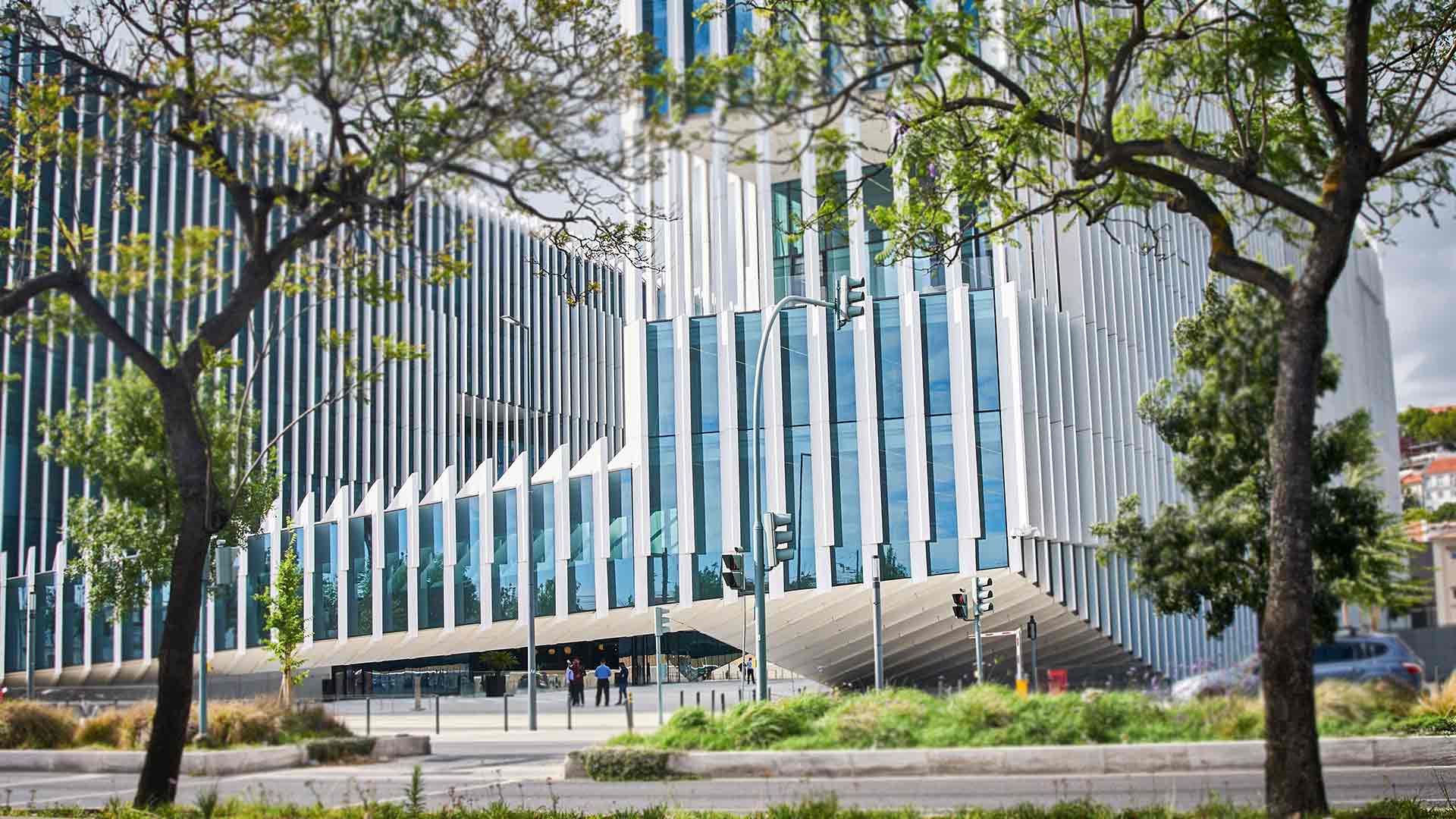 Бизнес в Португалии