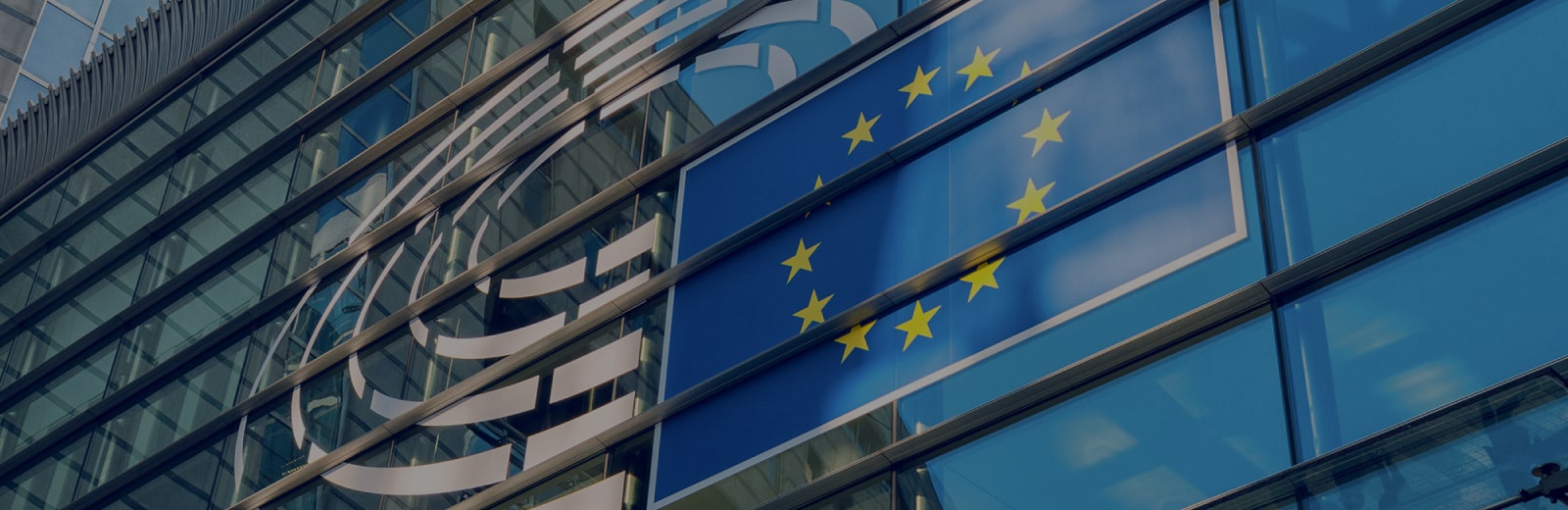 Миграционная компания Internatioanl Business