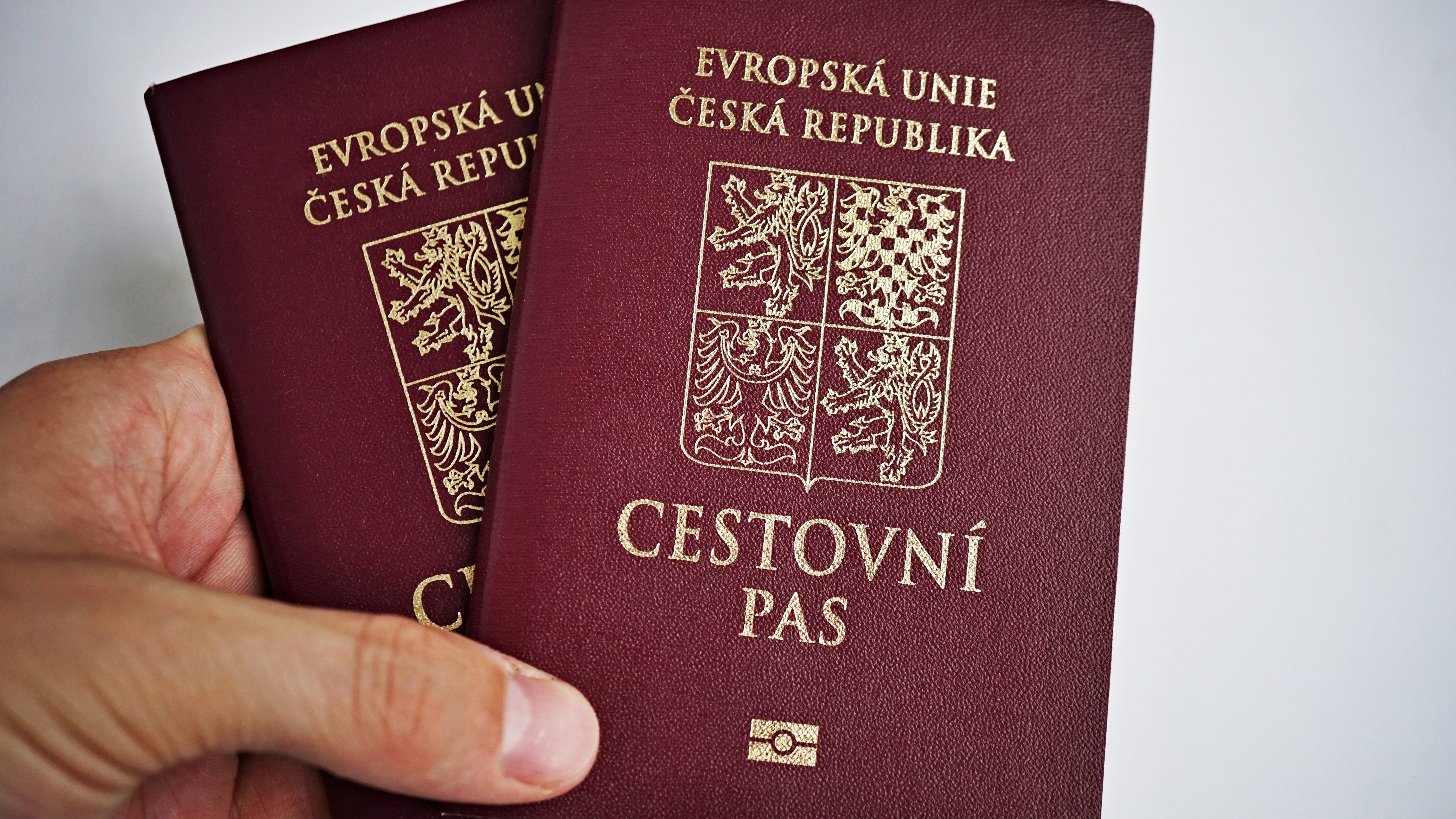 паспорт Чехии по корням