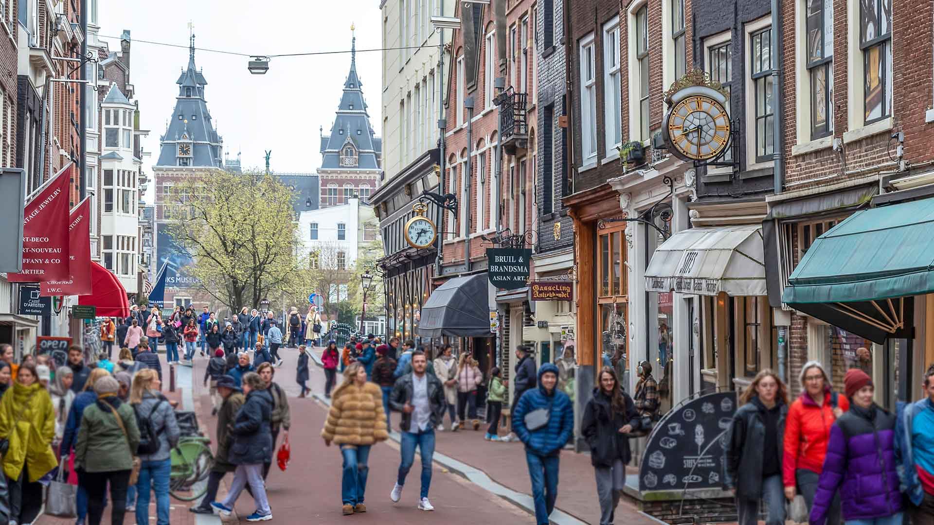 Гражданство Нидерландов по натурализации