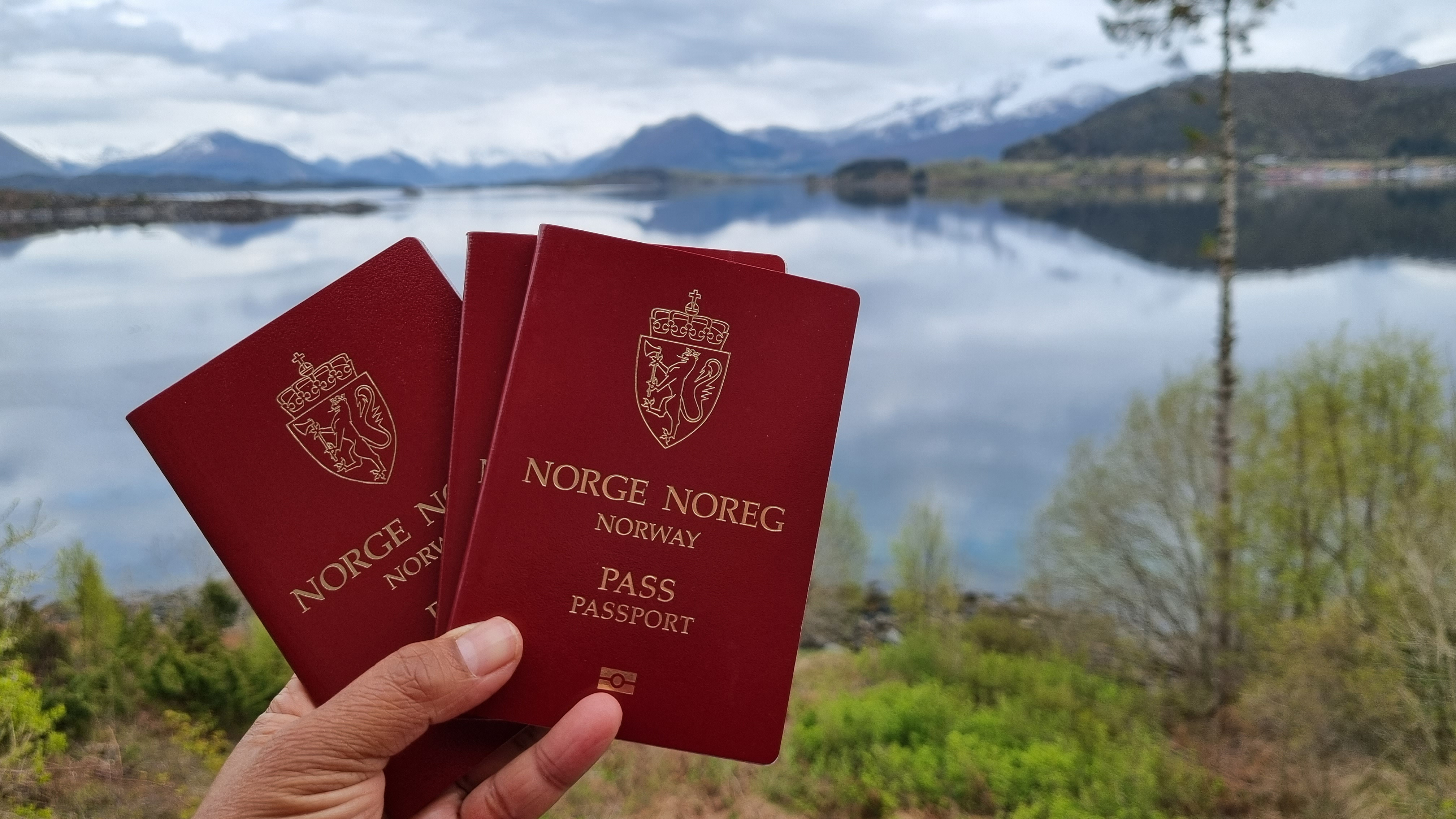 Паспорта Норвегии, которые могут получить иностранцы
