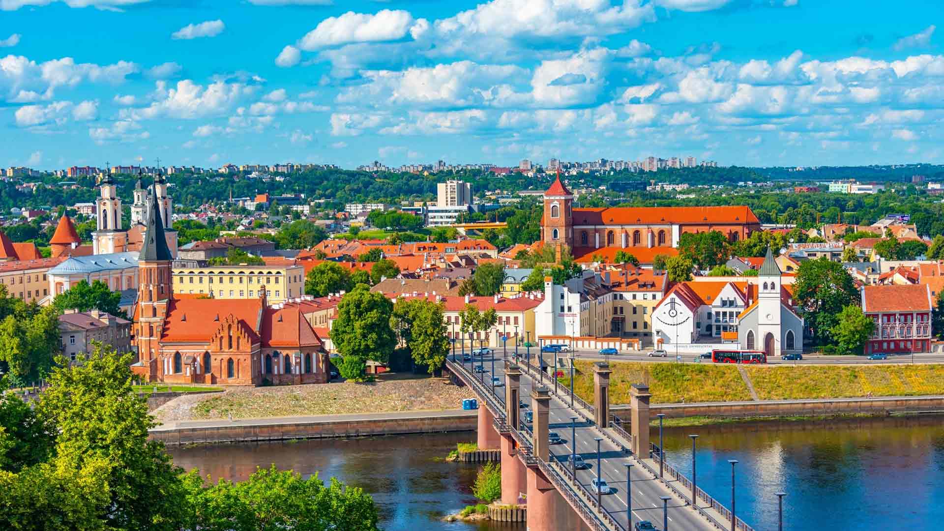 Гражданство Литвы