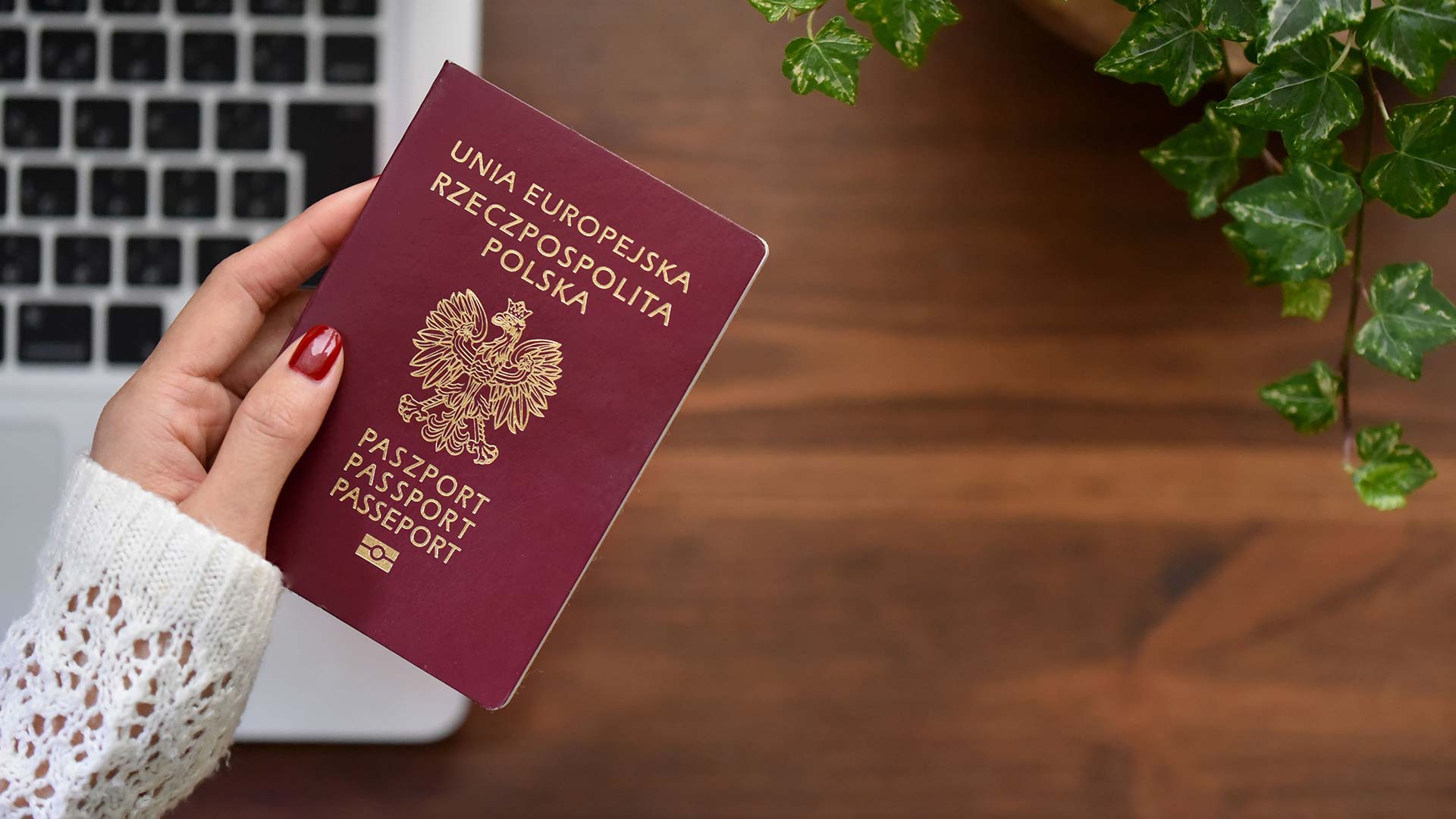 Паспорт Польши по рождению