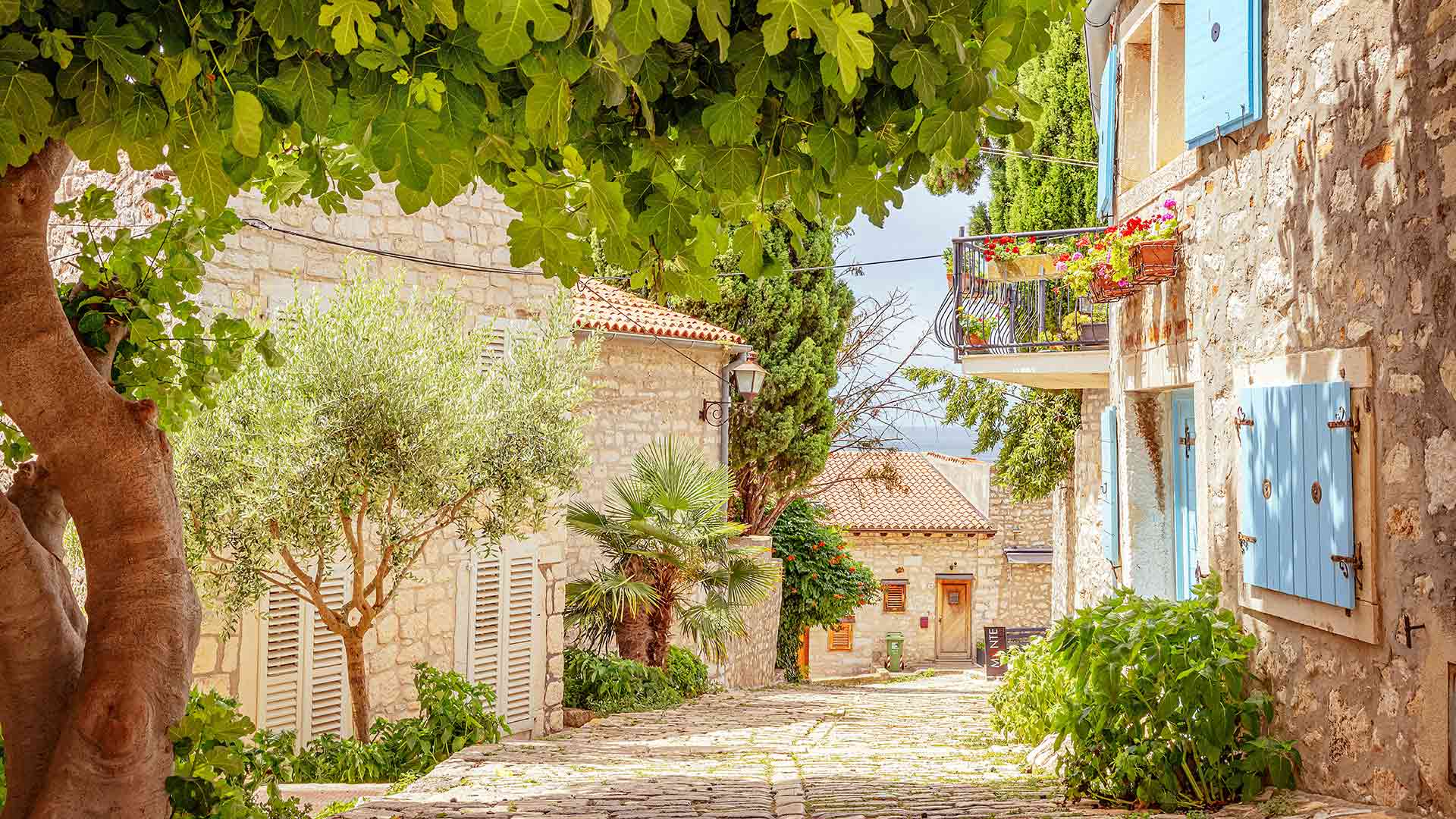 Жилье для украинцев в Хорватии