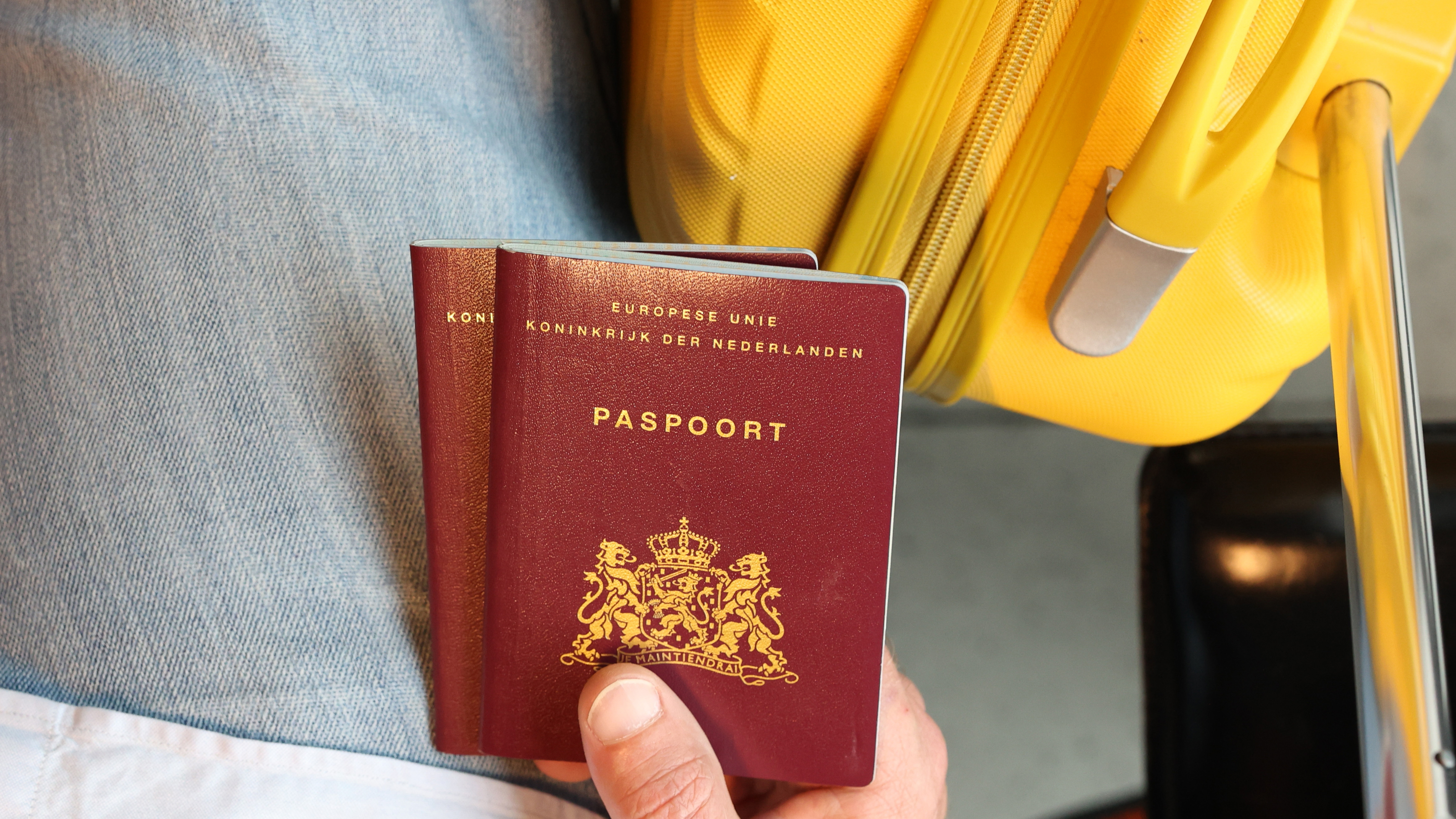 Паспорт Нидерландов