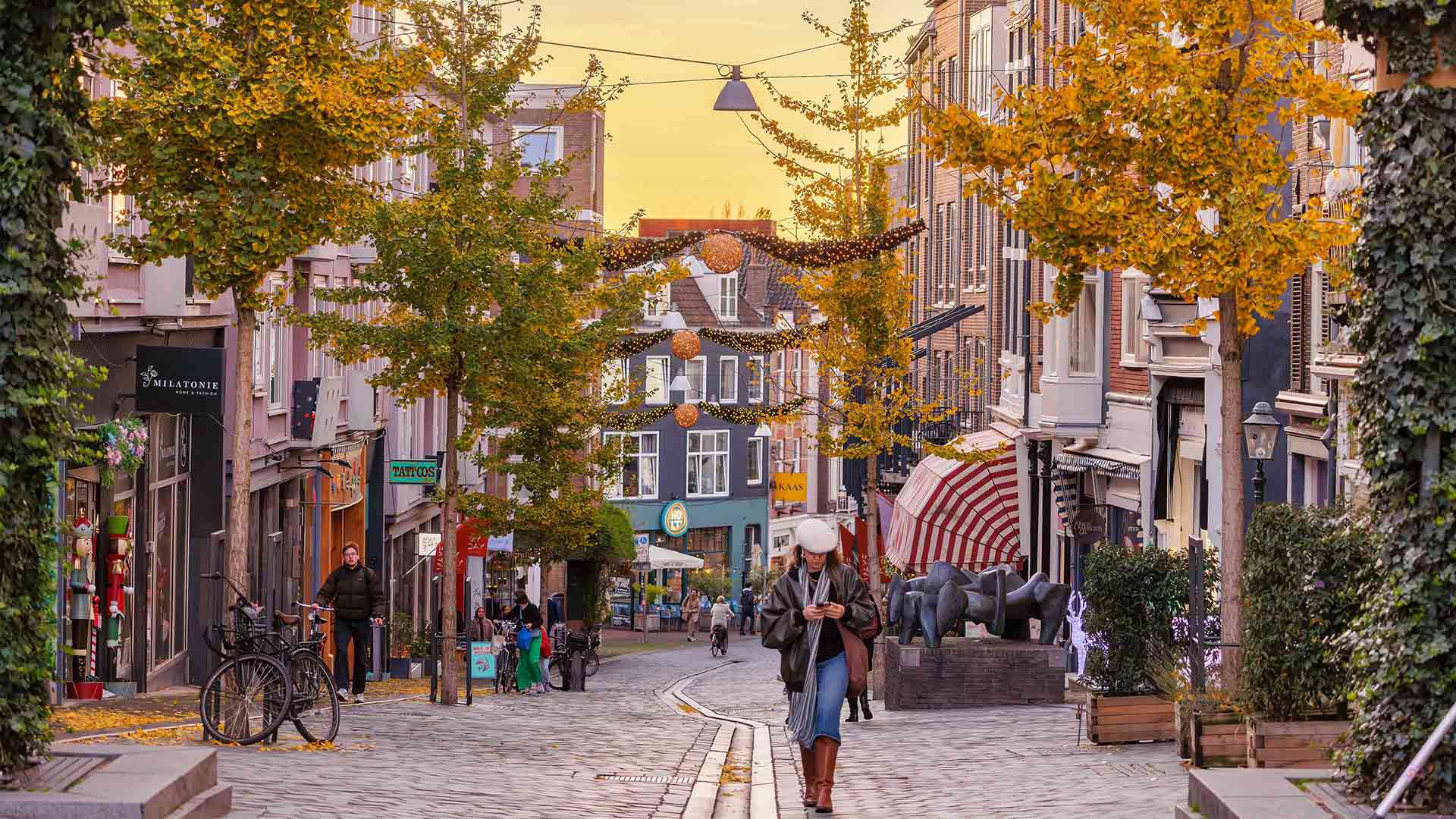 Нидерланды для украинцев