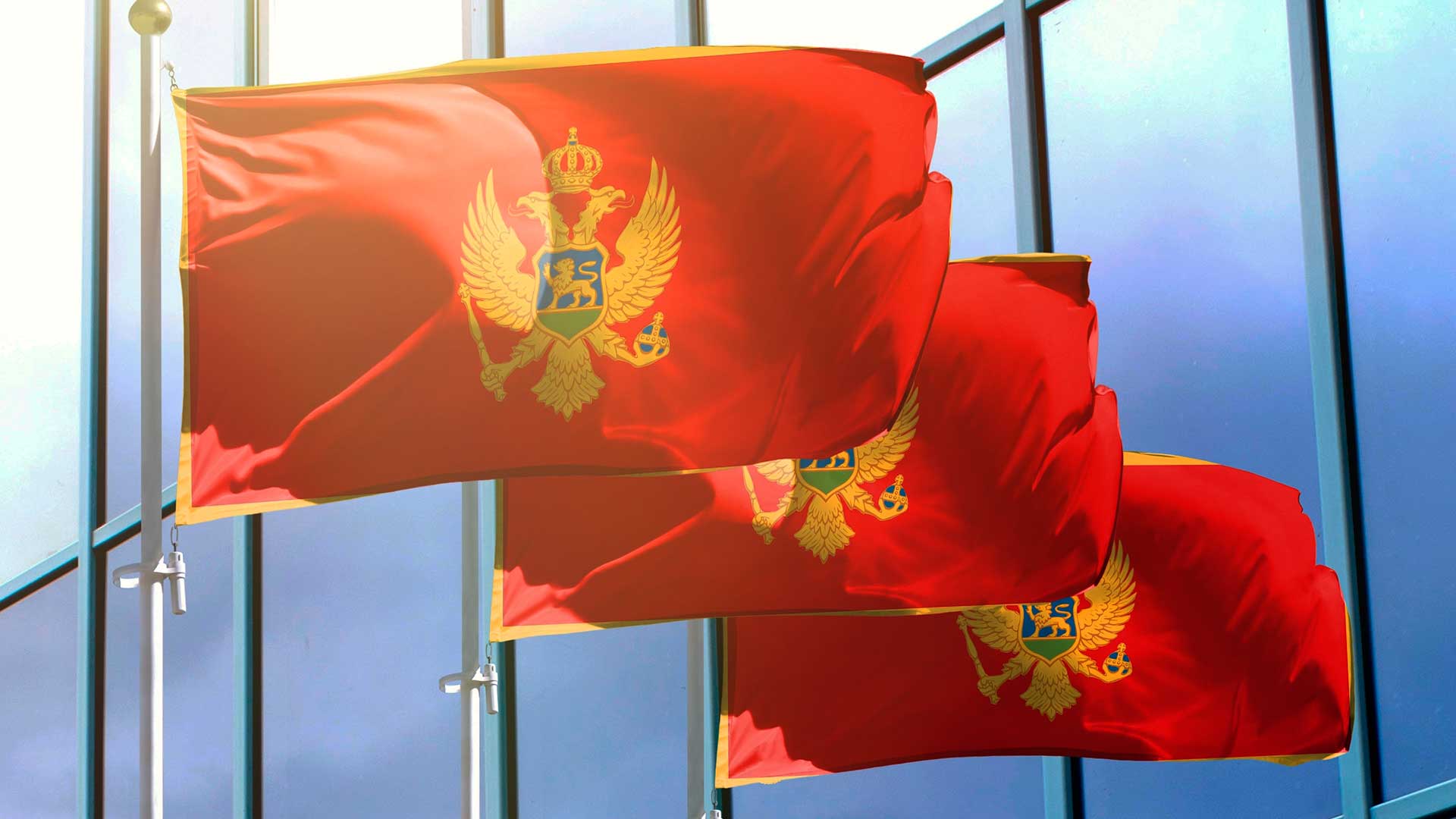 Флаги Черногории, где иностранцы могут открыть бизнес