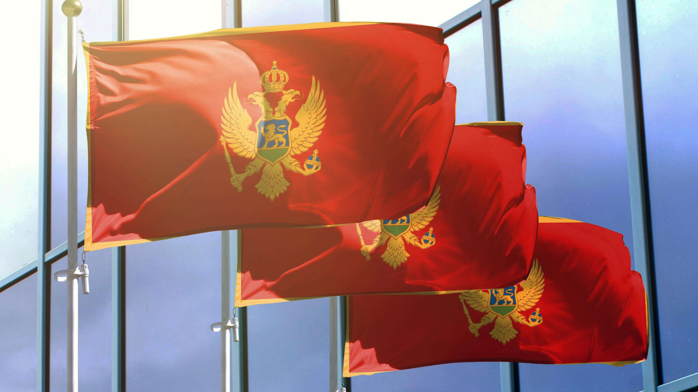Флаги Черногории, где иностранцы могут открыть бизнес