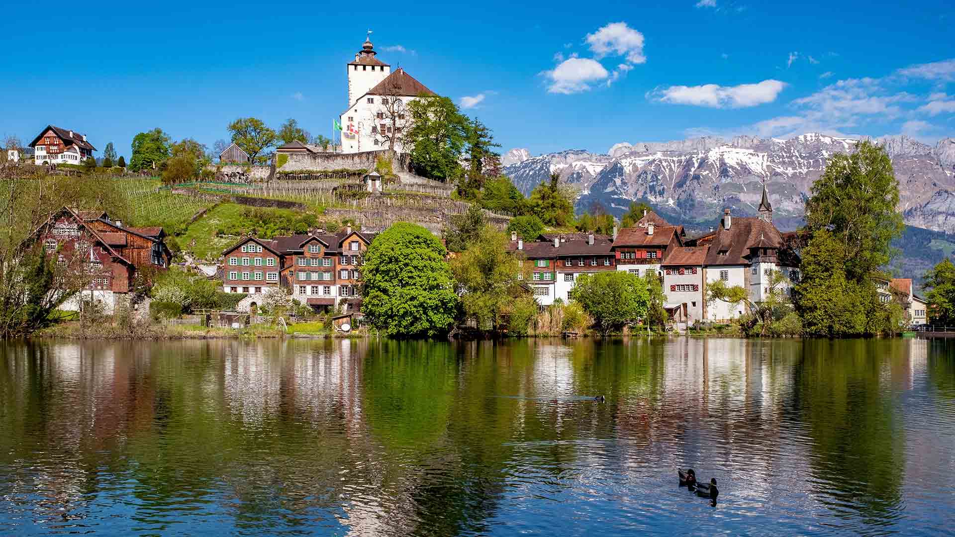 Гражданство Лихтенштейна