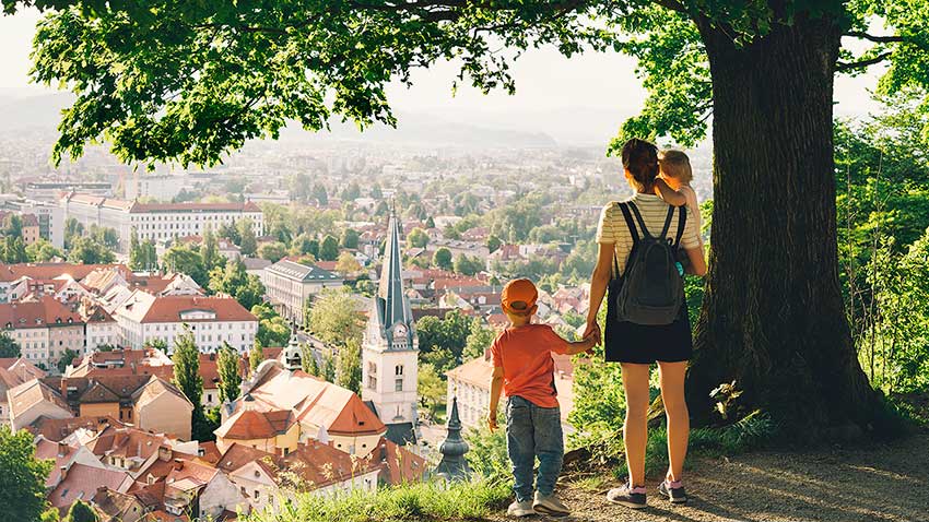 Как получить гражданство Словении: стоимость, способы для россиян ...