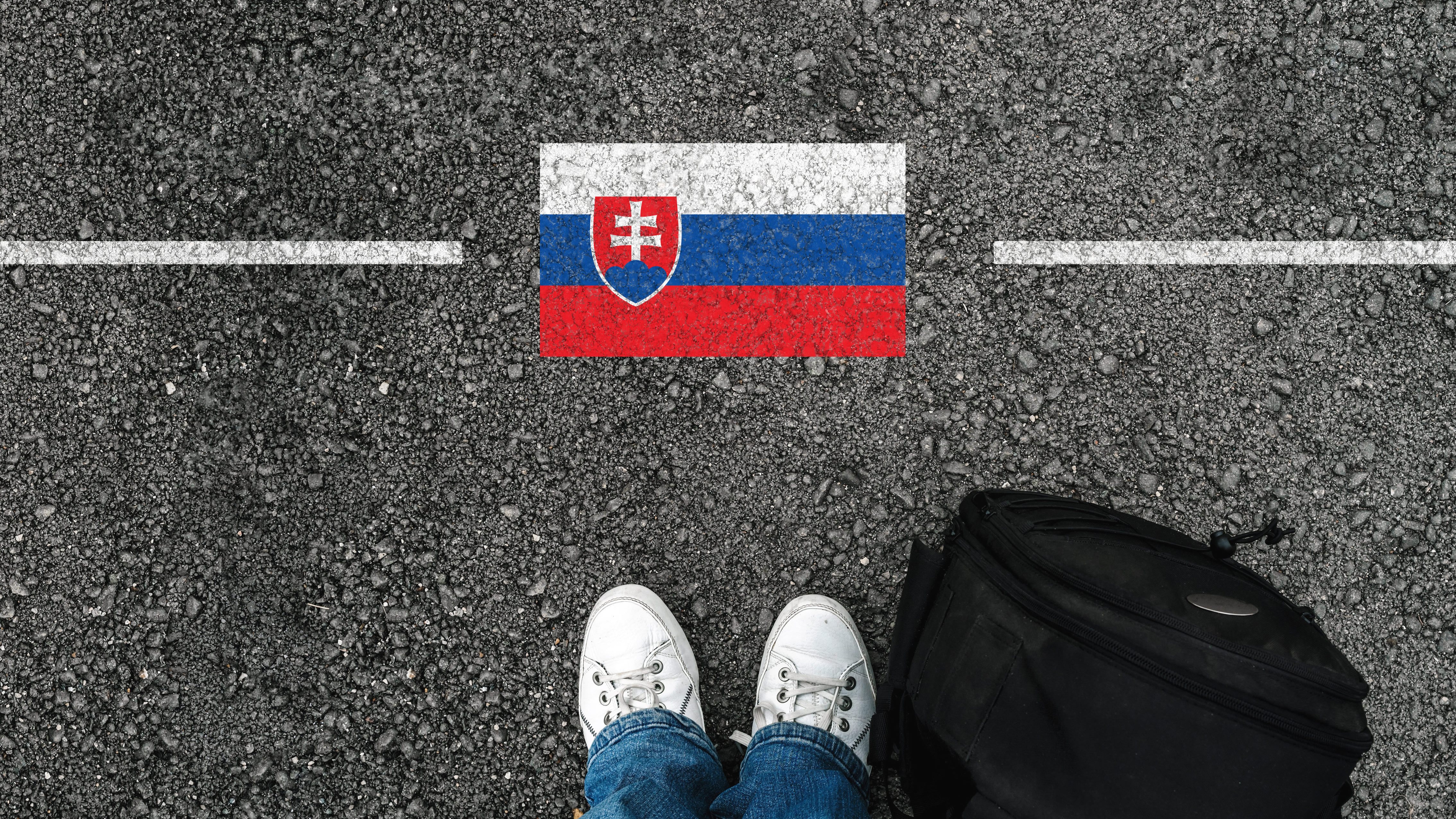 статус беженца в Словакии