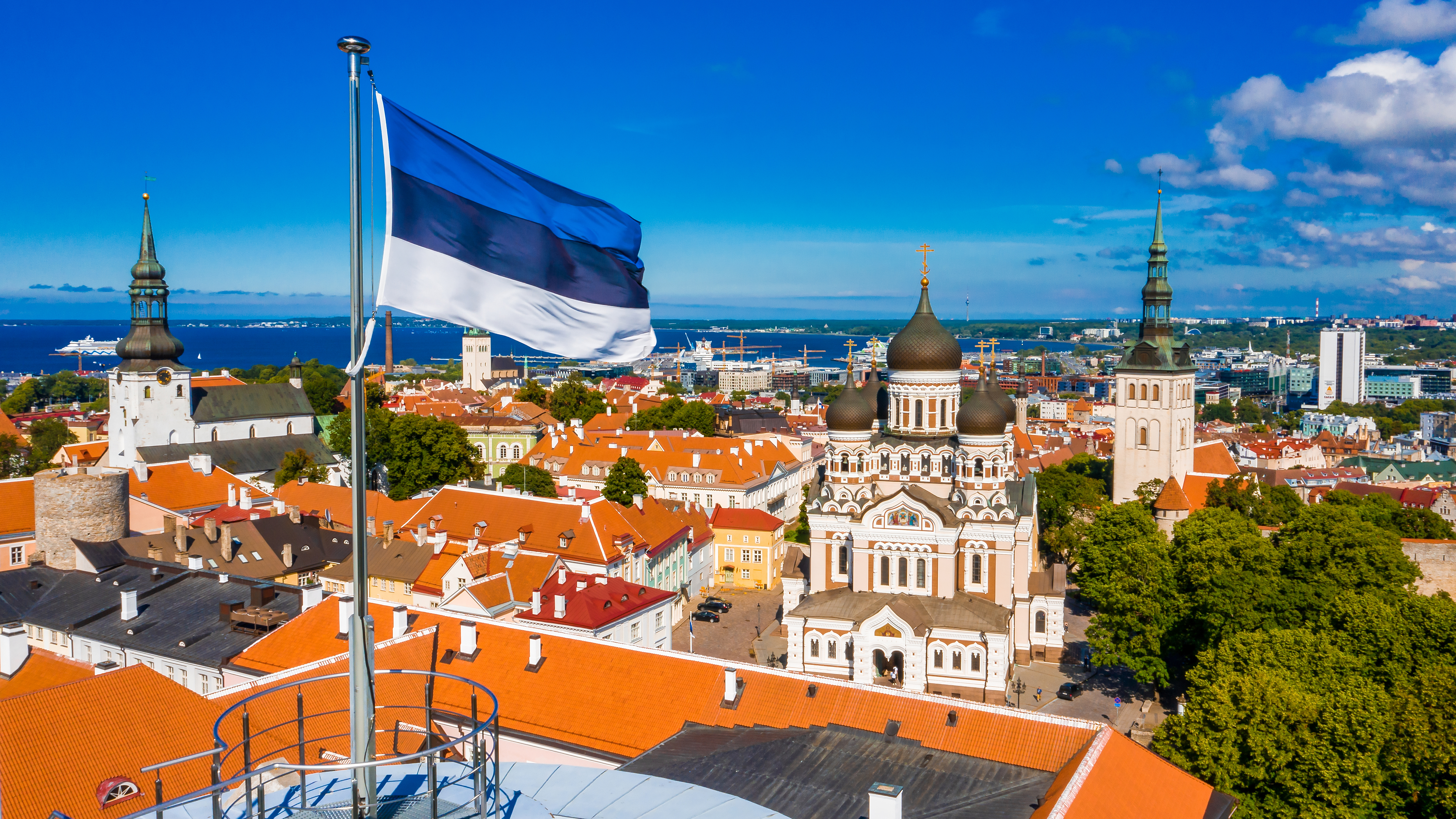 Вид на жительство в Эстонии для стартап-предпринимателей